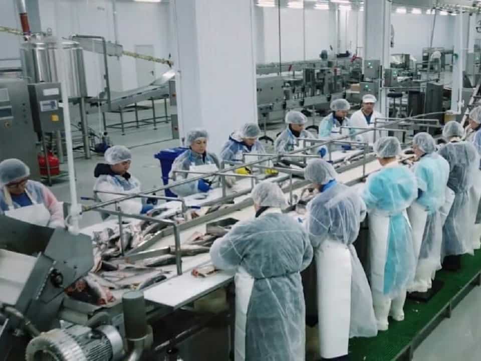 Разделка рыбы